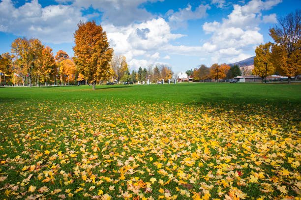 Autumn, Tree, New England - USA, USA, Vermont