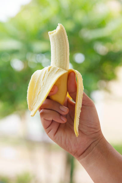 istock Female hand holding banana on nature background. 678309002