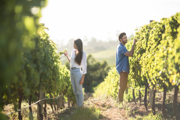 istock Man and woman standing by plants growing at vineyard 678309062
