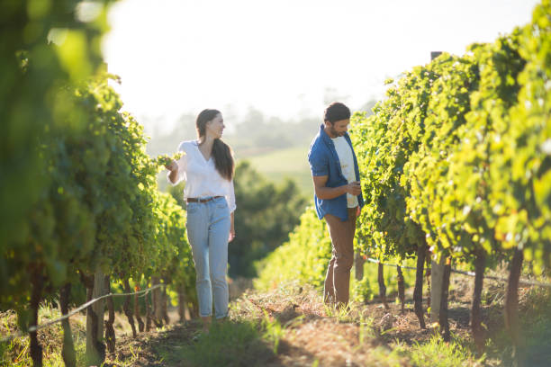 Man and woman standing by plants at vineyard