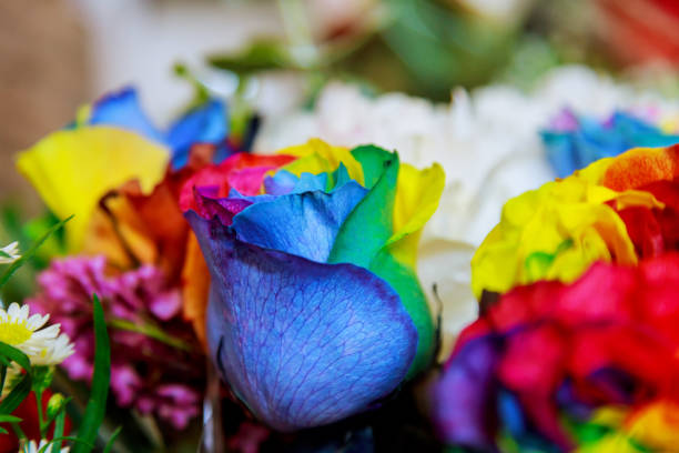 istock bouquet ofcolorful rainbow rose 678312710