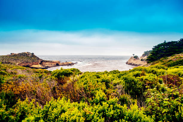 istock Big Sur in California 678324856