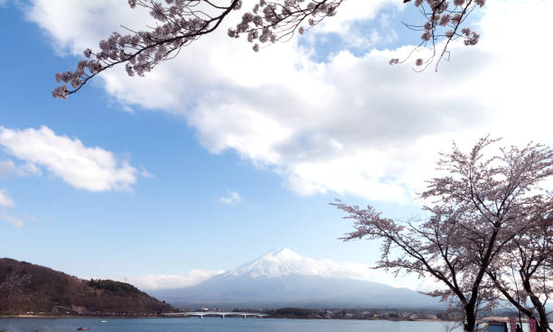 istock Mountain fuji and Lake 678340910