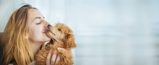 若い女の子は彼女の親友犬にキスします。 - dog kiss ストックフォトと画像