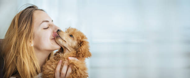 Young girl kissing her good friend dog . stock photo
