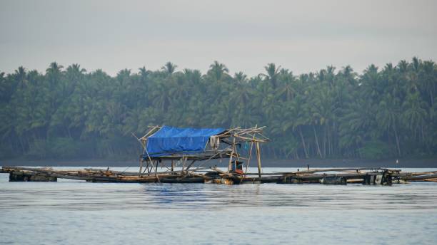 Floating fishing hut, Davao Oriental, Philippines