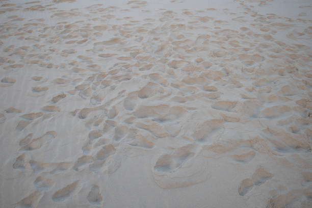 istock Group of footprints on the sand beach texture 678375524