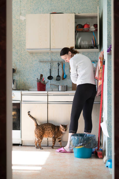 istock Young woman with cat in the kitchen 678378462