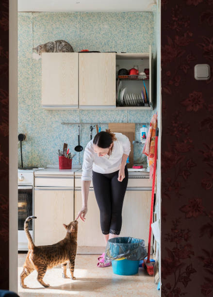 istock Young woman with two cats in the kitchen 678378500