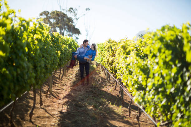istock Man carrying his girlfriend amidst plants at vineyard 678414150