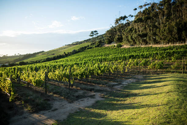 istock Scenic view of landscape 678416874