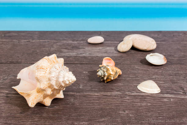 istock Tropical sea seen from the boat. Table on board with seashell 678419126