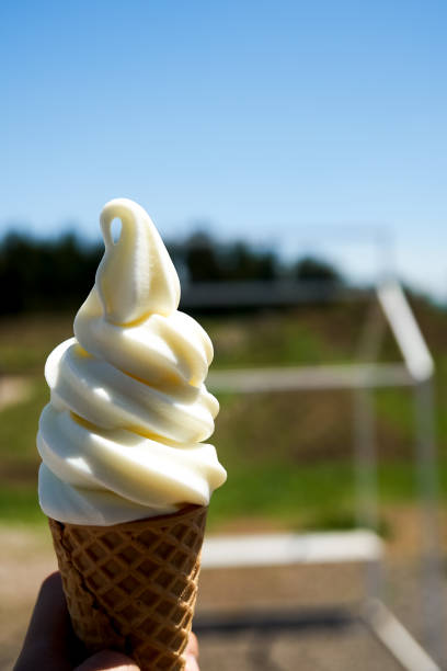 istock A trip to Jeju Island 678420810