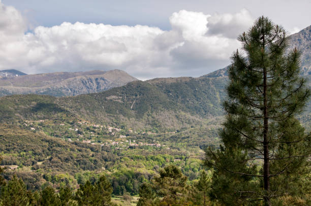 istock Corsican village of Tavera 678434732