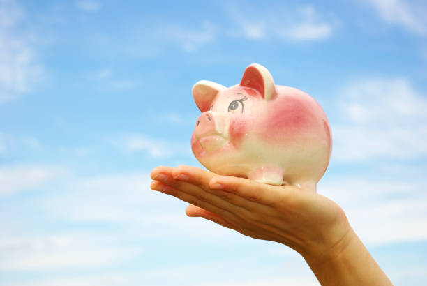 istock hands holding piggy bank 678448348