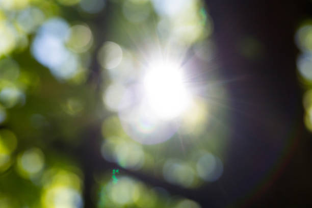 istock green bokeh, daylight, sunshine 678455976