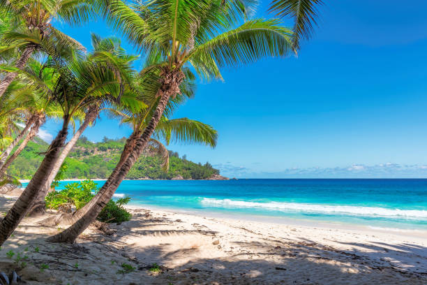 istock The Beautiful Anse Takamaka beach on Seychelles. 678466860