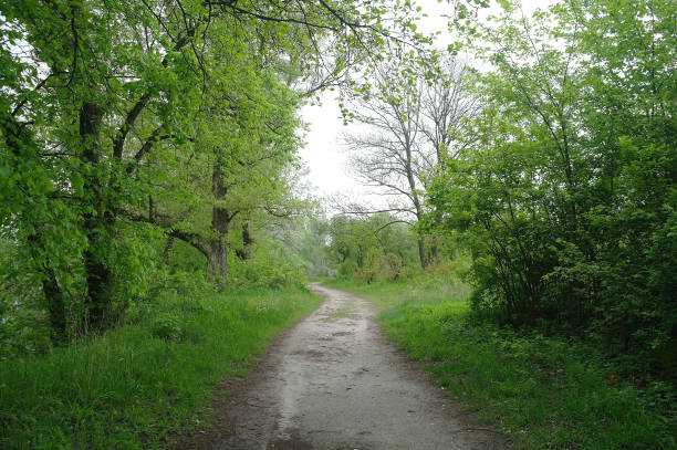 istock Spring Nature. Park with Green Grass and Trees. 678485344