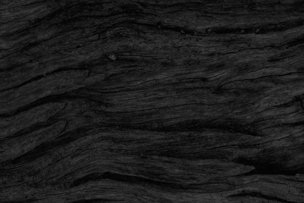 istock Wood Dark background texture. Blank for design 678496444