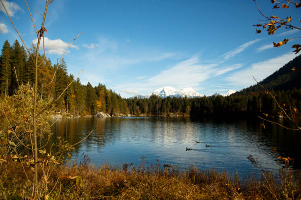 istock Lake and autumn forest 678507282