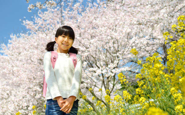 istock Cherry blossoms and elementary school girls 678507780