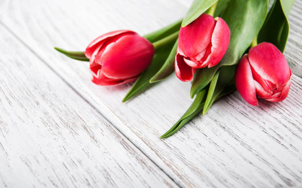 istock bouquet of tulips 678511498