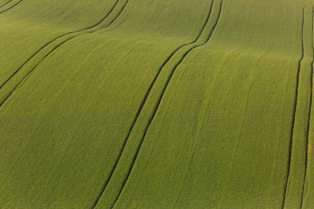 istock Agricultural land with fresh crops 678514420