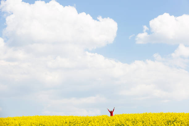 istock Woman with arms raised high, enjoying freedom 678526772