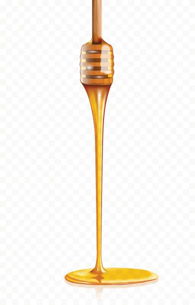 illustrazioni stock, clip art, cartoni animati e icone di tendenza di miele gocciolante da cena a base di miele di legno - honey dipper