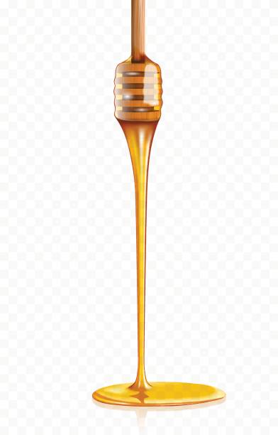 ilustrações de stock, clip art, desenhos animados e ícones de honey dripping from wooden honey dipper - maple wood