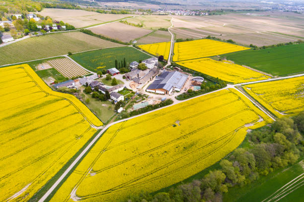 istock Wheat and canola fields in spring - aerial view 678541206