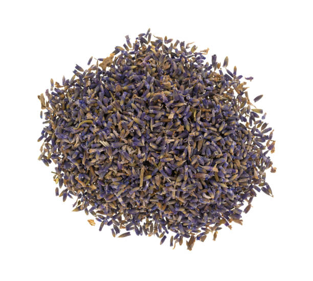 istock Lavender flower petals on a white background 678552134