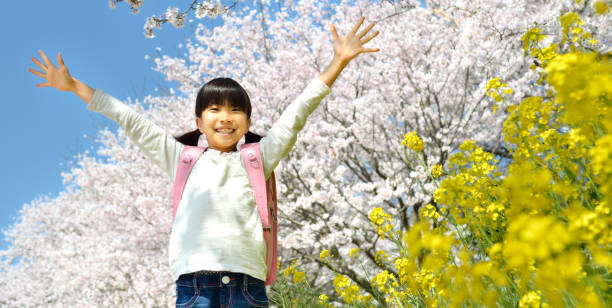 桜と小学生の女の子 - randoseru ranzen stock-fotos und bilder