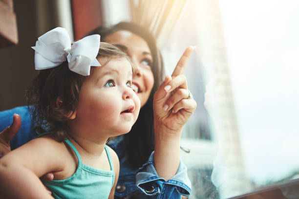 飛ぶ鳥を見ています。 - mother holding child pointing ストックフォトと画像