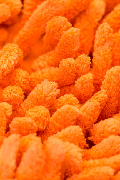 istock Bright orange fibres macro image 678556316