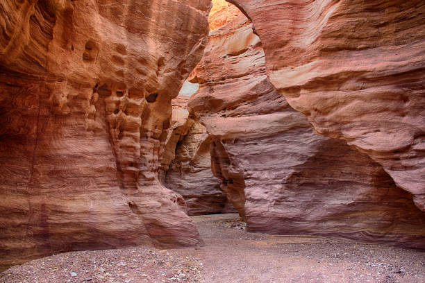 istock The desert of Arava (Arabah) 678556810