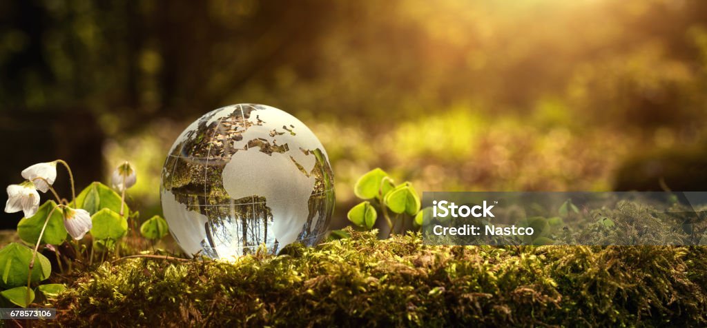 Environment conservation concept Environment conservation concept. Close up of glass globe in the forest with copy space Sustainable Resources Stock Photo