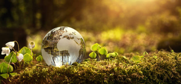 Environment conservation concept Environment conservation concept. Close up of glass globe in the forest with copy space water balls for plants pictures stock pictures, royalty-free photos & images