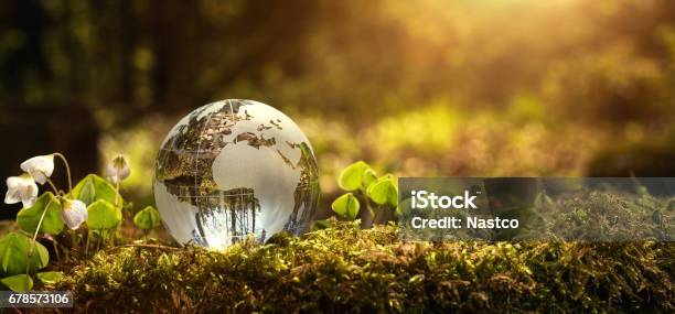 Environment Conservation Concept Stock Photo - Download Image Now - Sustainable Resources, Globe - Navigational Equipment, Business