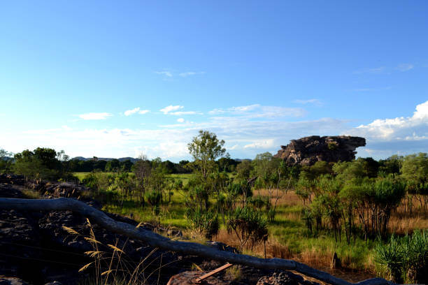 istock Jabiru National Park 678583112