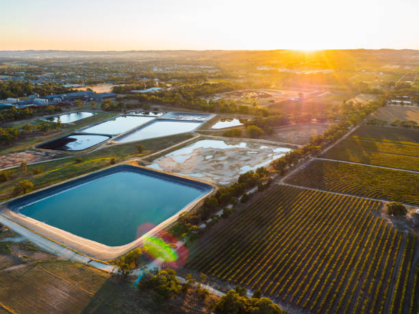 istock Vineyards of South Australia 678583410