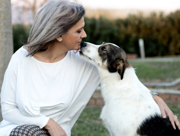 istock Senior woman with dog. 678583452