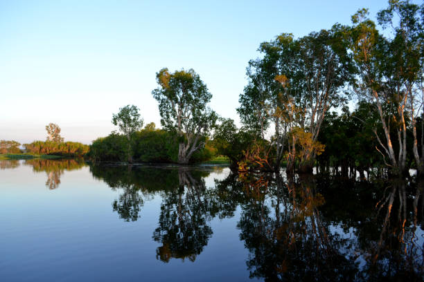 istock Jabiru National Park 678583730