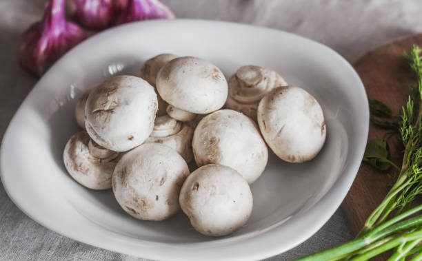 istock Fresh mushrooms on a white plate 678588410
