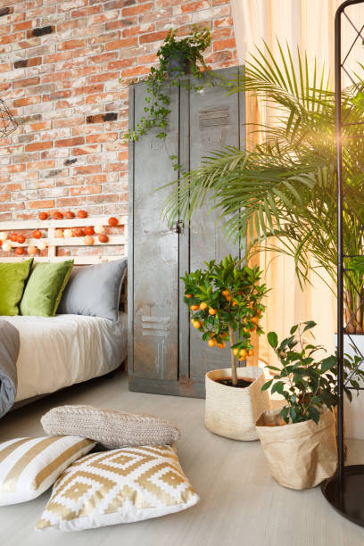 istock Locker and plants in bedroom 678597888