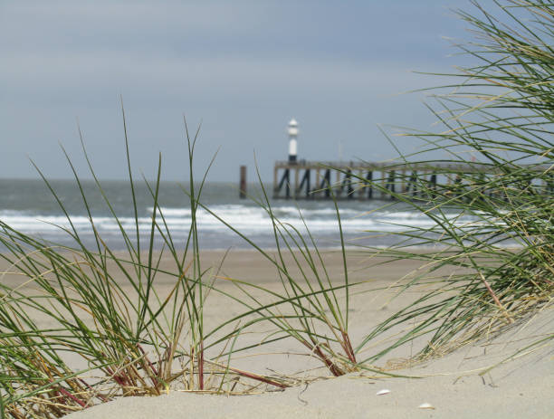 belgische kust - blankenberge strand stockfoto's en -beelden