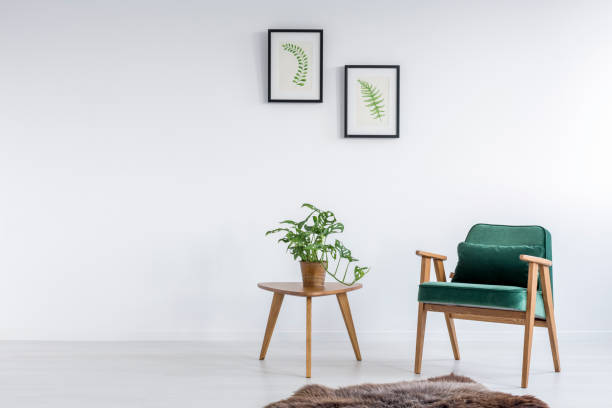 Green armchair in room Green armchair in white room with botanic decoration animal representation photos stock pictures, royalty-free photos & images