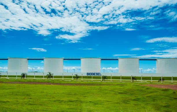 cuiba, mato grosso, march 2017 - завод biodisel в бразилии с бункерами и голубым небом - biodiesel стоковые фото и изображения