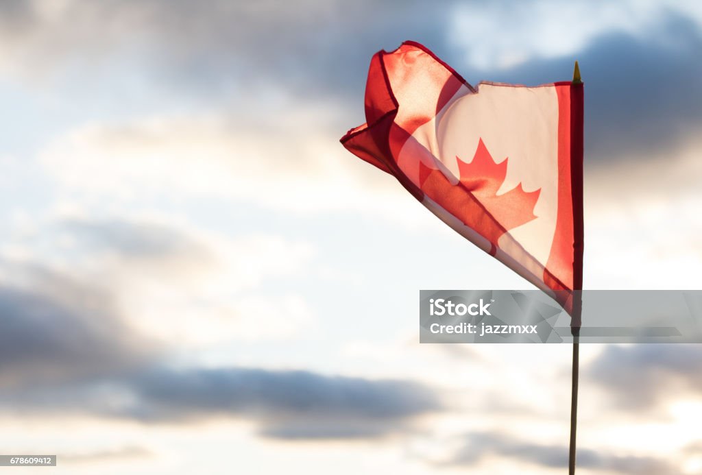 Canada flag waving in wind during sunset Canadian flag waving Canada Day Stock Photo