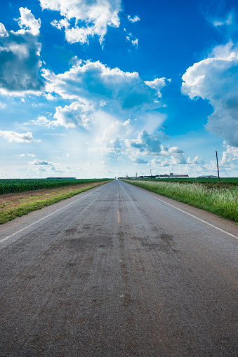 Imagen de la cosecha de maíz abierto con una carretera pavimentada que se extiende en el medio y brillante azul del cielo en verano photo